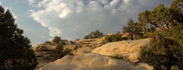 Farmington land for sale, homesites surrounded by diverse open space